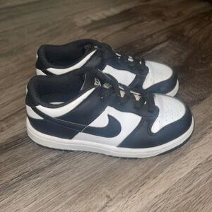 Toddler Nike Dunk Lows